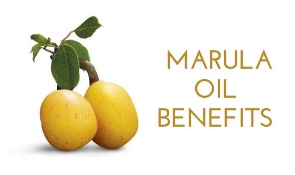 Marula Oil Benefits